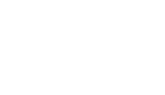 WildcatBaseballAcademy logo